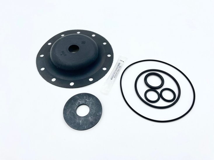 1070274 Diaphragm & Seal Kit, BUNA/EPDM, 524-RAN