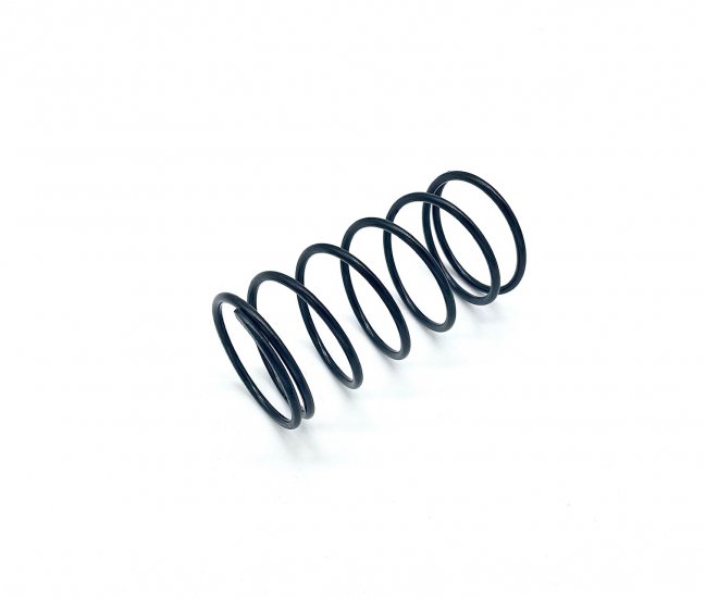 1073404 Valve Spring, V535-170, SCSO