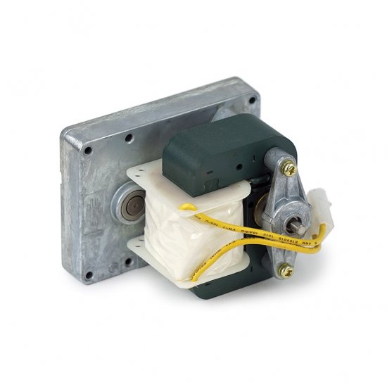 FL40389 Drive Motor, 220v, 50/60hz, SP