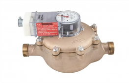 JSJ100 Carlon Electric Water Meter, JSJ Series, 1" MNPT, 25 GPM CF