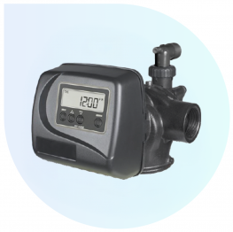 V2EEBTZ WS2 "EE" Backwash Filter Valve, 2", Time Clock